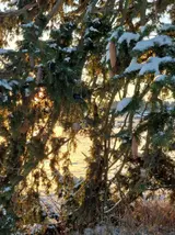 20231204_142607.webp