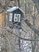 20231223_093237.webp 20231223_093237.webp