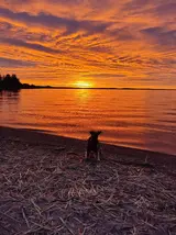 IMG_20240623_033503.webp