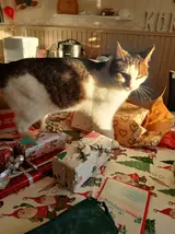 20241216_123518.webp