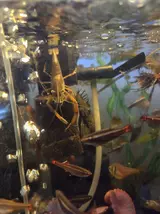 20250330_220122.webp