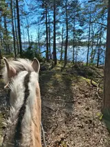 20250403_143602.webp