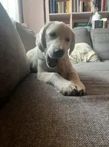 IMG_7413.webp