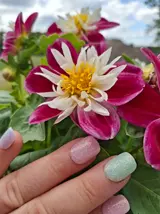 20250620_144737.webp