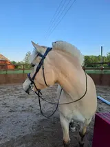 20250612_203337.webp
