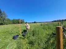 20250718_105429.webp