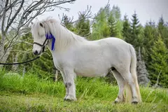 IMG_20250909_100020.webp
