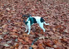 20251106_084444.webp