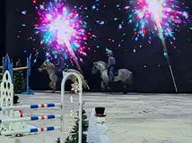 20251127_180946.webp