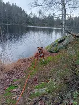 20251129_144852.webp