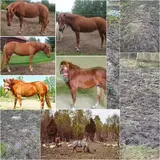 Picsart_25-12-07_12-12-13-626.webp