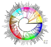 12-researchersm.webp