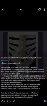 Screenshot_20260209-131418.webp