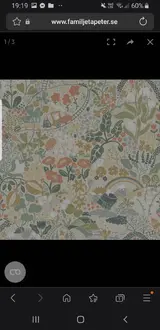 Screenshot_20260216-192000_Samsung Internet.webp