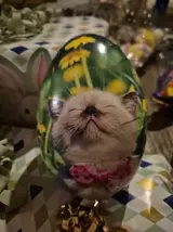 20260324_200149.webp