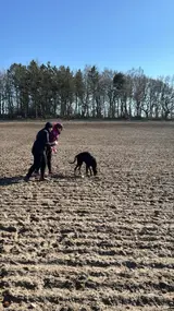 IMG-20260411-WA0008.webp