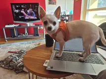 20260414_141928.webp