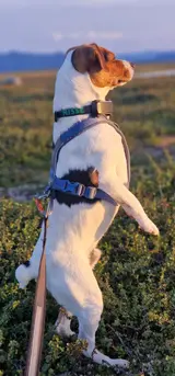 20250814_203517.webp