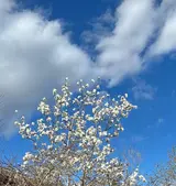 IMG_9827.webp