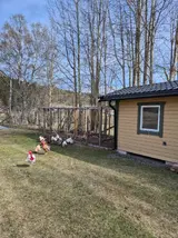 20260430_110759.webp