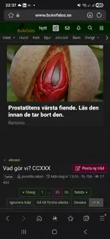 Screenshot_20260503_223730_Samsung Internet.webp