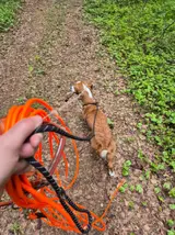 20260524_113418.webp
