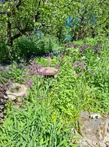 20260528_125755.webp