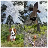 PhotoCollage_1780264608906.webp