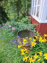 20260608_190609.webp