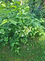 20260611_184147.webp