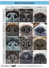 Fig_1_LZW.tif.webp Fig_1_LZW.tif.webp