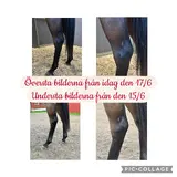 IMG_3094.webp