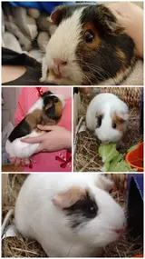 20260621_235740-COLLAGE.webp 20260621_235740-COLLAGE.webp