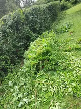20260625_125534.webp