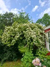 20260627_132055.webp