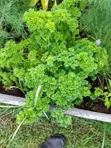 20260707_183804.webp