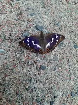 20260708_105456.webp
