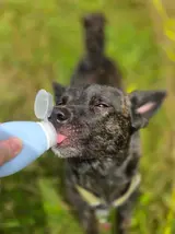 20260727_145755.webp