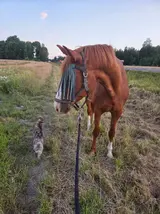 20260731_212103.webp
