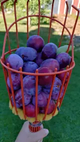 20260813_163538463.webp