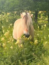 20ab240baafc406442b3eb30a06d46ca.webp 20ab240baafc406442b3eb30a06d46ca.webp