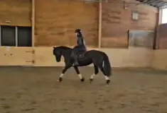 Screenshot_20260325_173915_Gallery.webp