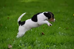 DSC_1275.webp