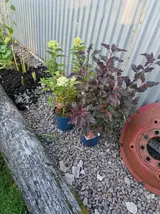 20260921_175704.webp