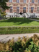 IMG_20190709_084732.webp IMG_20190709_084732.webp