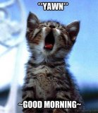 Yawn-Good-Morning.jpg