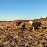 Ihopsläpp med Askja.webp